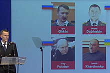 Гаагский суд признал Гиркина, Харченко и Дубинского виновными в крушении самолета MH17