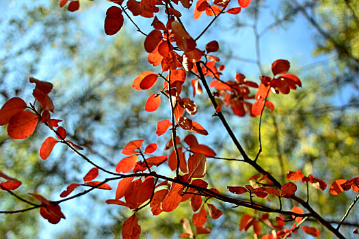 Осень в Омске: прогноз погоды на начало сентября