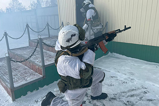 Дымовыми шашками закидали диверсантов военные под Новосибирском