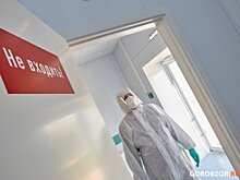 Штаб: За сутки в РФ подтвердили 33 тыс. 796 случаев коронавирусной инфекции, в Москве - 3 тыс. 349