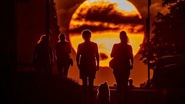 Солнечная активность усилится в ближайшие два года