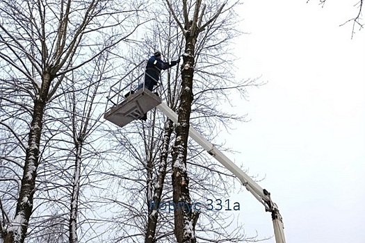 12 деревьев были кронированы в Савелках