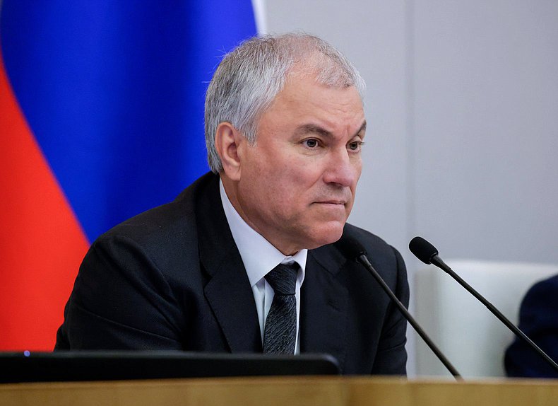 Володин: в ГД внесен проект, которым предлагается передать МВД часть полномочий в вопросах регулирования трудовой миграции