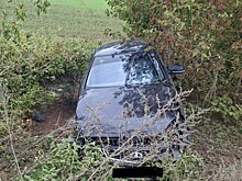 В Оренбуржье произошло смертельное ДТП