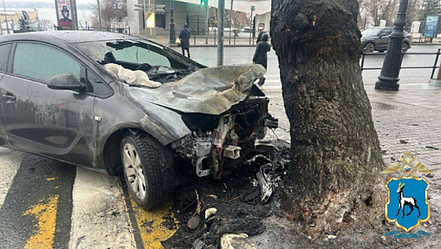 В Самаре 1 февраля иномарка загорелась после столкновения с деревом
