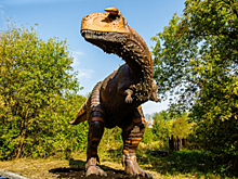 В парке «Сказка» проходит акция «Первоклассный сентябрь»