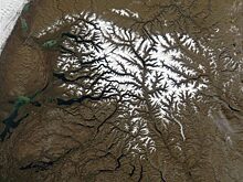 Какую опасность для всего мира таит озеро в глубине Сибири