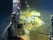 Найдена питающаяся этаном архея