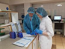 Свыше 15 тыс исследований пищевой продукции провели в Подмосковье в 2020 г