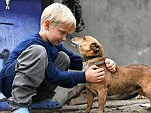 Утонувшая долина: наводнение в Крыму