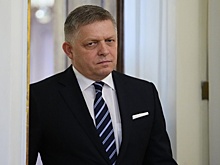 Фицо согласен провести референдум по вопросу отмены санкций против России
