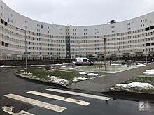 В Петербурге заявили о замедлении распространения COVID-19