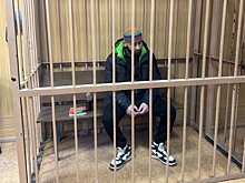 Забивший знакомую камнем в Москве мужчина получил 11 лет колонии