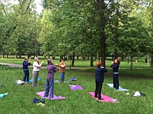 Мастер-класс по китайской гимнастике прошёл в Грачёвском парке
