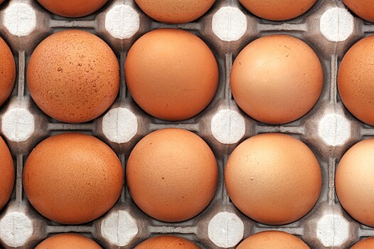 Прогнозируемый Минсельхозом рост производства яиц может быть «съеден» экспортом