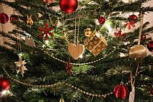 Архиерейская рождественская елка соберет 1000 детей в Краснодаре 10 января