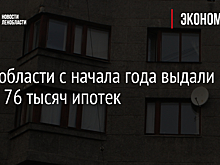 В Ленобласти с начала года выдали более 76 тысяч ипотек