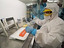 Российские учёные раскрыли опасность подварианта коронавируса «дельтакрон»