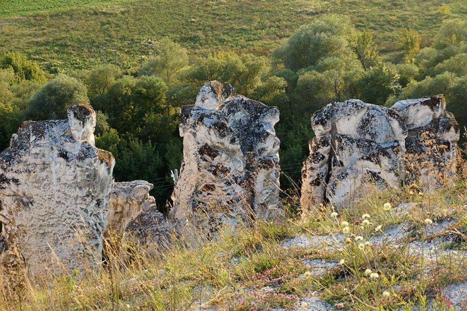 Дивногорье, Воронежская область, Россия, Европа