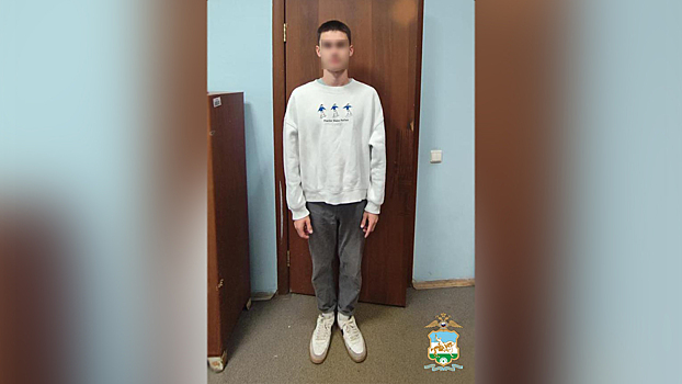 На время расследования трёх мошенничеств принявший в них участие студент из Уфы заключён под стражу