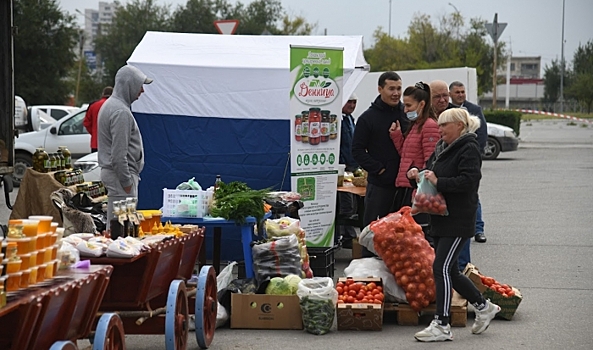 Молоко, овощи, мясо, мед представили на ярмарке волгоградские фермеры