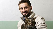 Хозяин кота Виктора призвал "Аэрофлот" к диалогу по перевозке животных