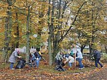 В ходе субботника в Зеленограде собрали и вывезли 386 кубометров листвы и мусора