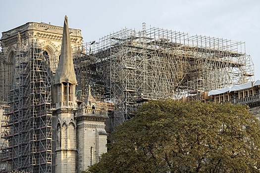 Названы находящиеся под угрозой исчезновения места