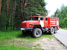 Руководство «Оборонлеса» Минобороны РФ проводит проверки филиалов