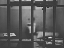 Прилетевшей в Петербург женщине грозит пожизненный срок за гербарий
