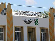 Адвокаты с белыми нитками - СЗАО «СКВО»: кому нужен чеченский акцент в истории с сельхозпредприятием