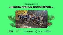 Школу лесных волонтеров могут пройти вологжане