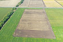 Новый сезон 2023/2024 уже стартовал на агрополигоне «Приволжье» по сортовой озимой пшенице и ячменя