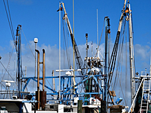 Иностранное участие в рыбодобывающих компаниях ограничили