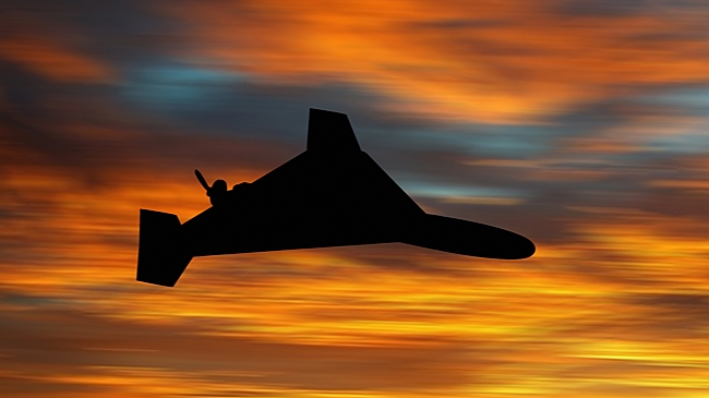 «Герань» ударила по судну с подсолнечным маслом в водах Украины