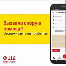 В Системе-112 Московской области работает сервис по СМС-оповещению времени приезда скорой медицинской помощи