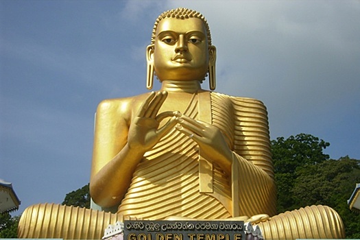 Раскрыты подробности трагической гибели россиянина на Шри-Ланке