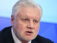 Миронов предложил запретить микрофинансовые организации в России