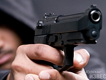 Курянин расстрелял «Ладу Калину» из травмата