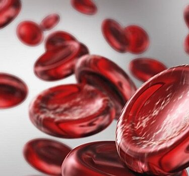 Как повысить гемоглобин в крови в домашних условиях
