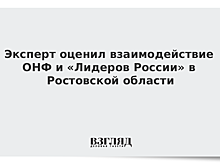 Эксперт оценил взаимодействие ОНФ и «Лидеров России» в Ростовской области