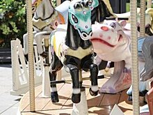 Мосгорпарк: Аттракционы в парке «Северное Тушино» проверяют после падения девочки с качелей