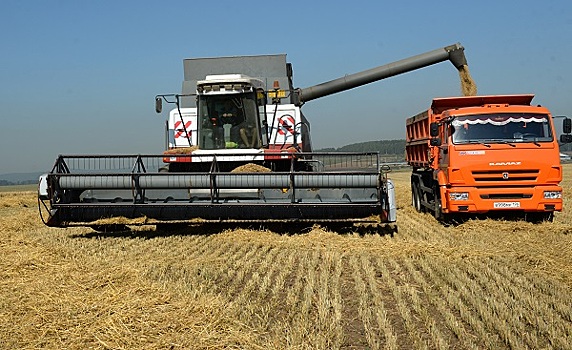 В Турции объяснили ввод ограничений на импорт зерна из России