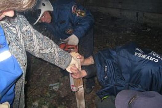 Воронежским спасателям потребовалась бензопила, чтобы спасти ребенка