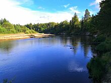 Нижегородцы смогут получить гранты на водоохранные проекты