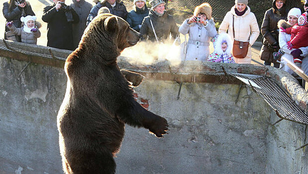 Захарова продолжила «поговорку» Пенса о русском медведе