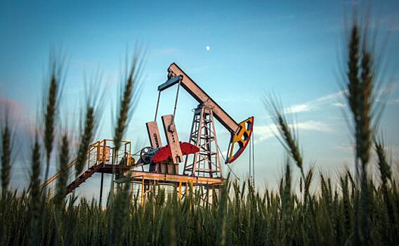 Нефть России ударила по украинской пшенице