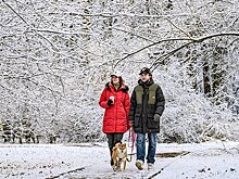 Москвичам пообещали репетицию зимы