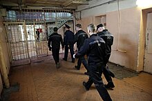 В России оценили решение привлечь осужденных на стройки