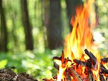 Врачи назвали главные опасности для детей на даче